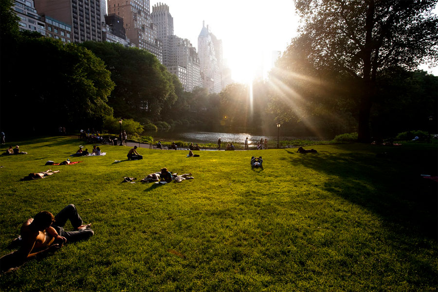 central park sunset