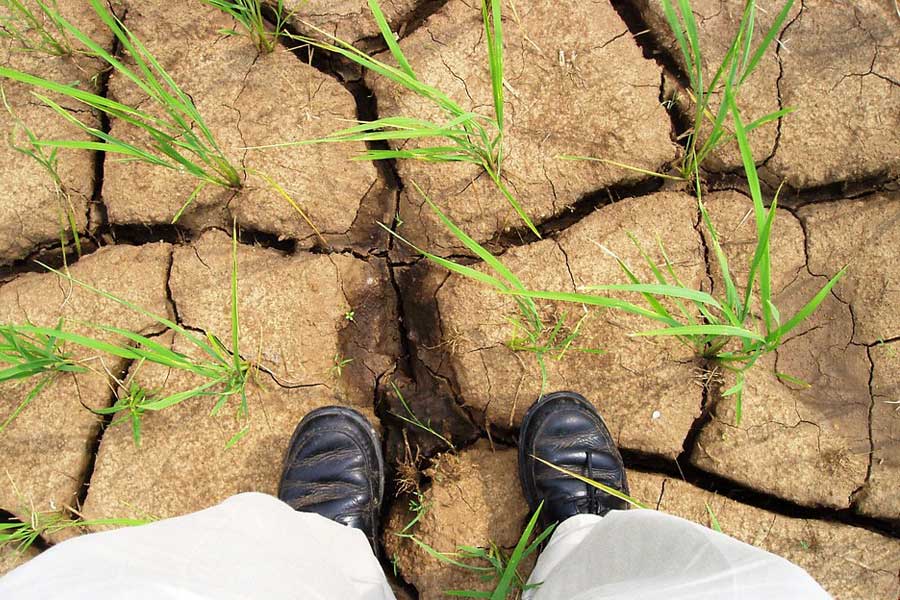 standing on dry ground