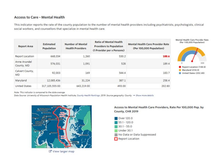 screenshot of data visualizations from the Community Needs Assessment on SparkMap
