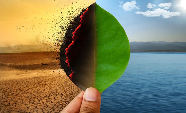 Image of hand holding leaf with half burning in arid environment and half green with a body of water behind it